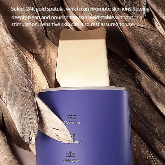 Glätteisen IPL Haartrockner Gesicht Mitesserentferner Warmluftbürste Lockenstab Pinzette Schwamm  Maniküre Pediküre Set Epilierer Anti Aging Elektrische Zahnbürste  Lalano’S Cosmetics Elite Lady Gesichtsreinigungsbürste Silikon Hornhautentferner Haarbürste